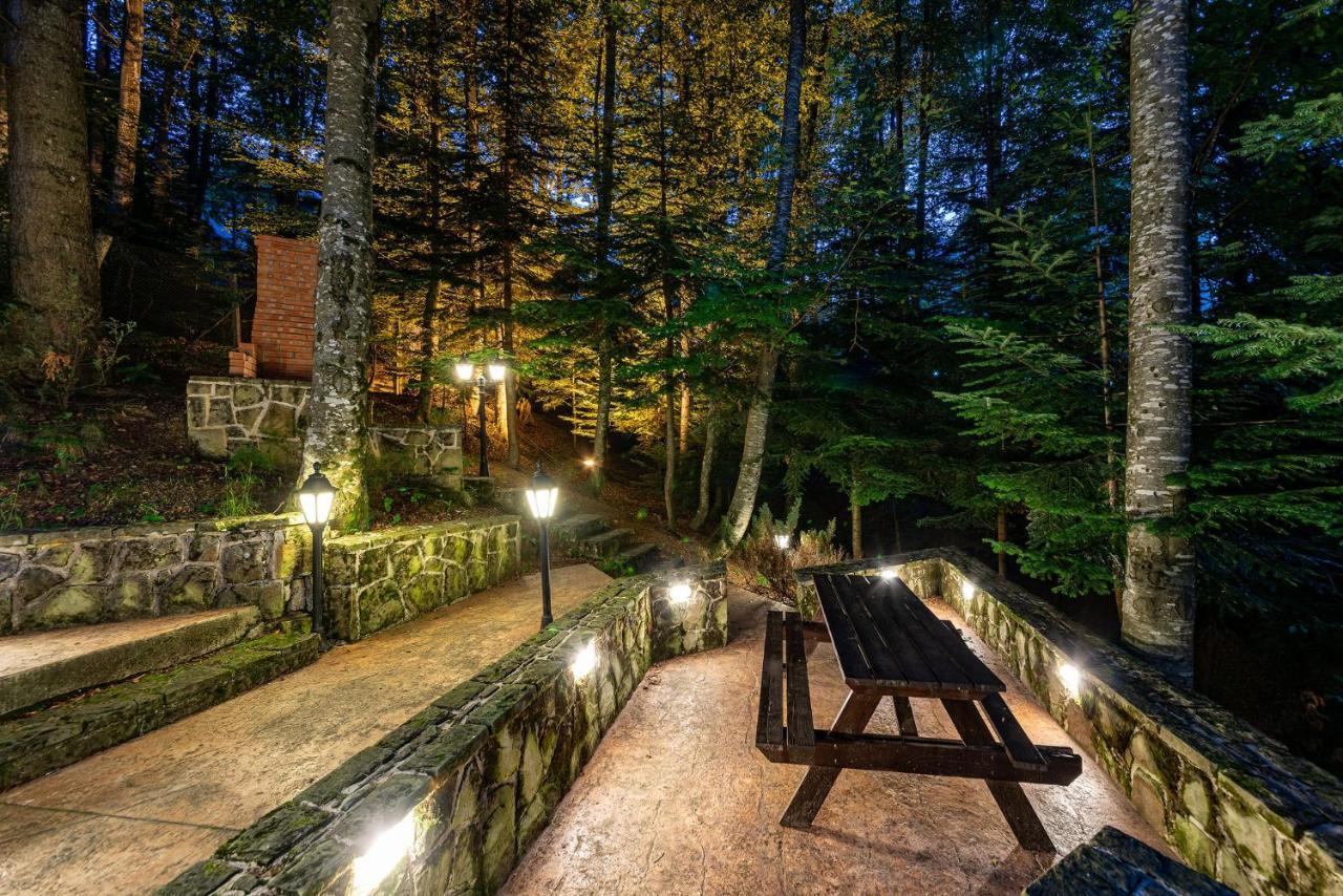 Hotel Regal Sinaia Buitenkant foto